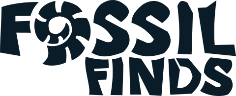Fossil Finds logo and link to homepage